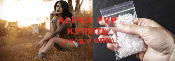 сатива Абаза