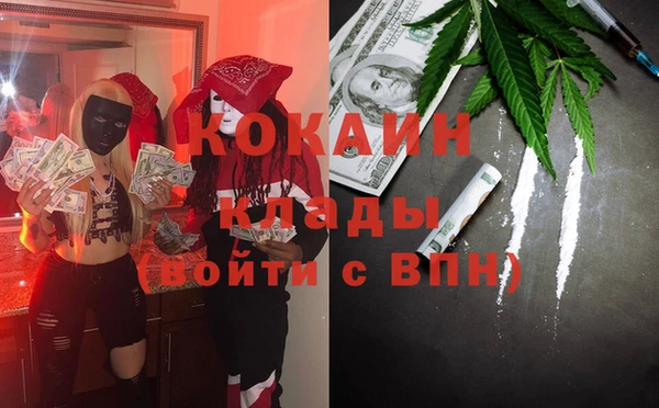 сатива Абаза