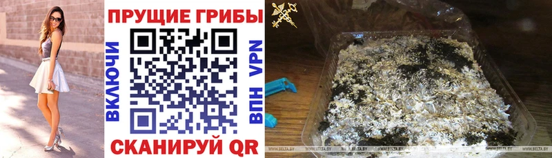 Галлюциногенные грибы MAGIC MUSHROOMS  мега как зайти  Смоленск  купить наркотики сайты 